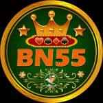 BN55 game free download official APK Profile Picture
