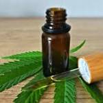 elclubcbd Profile Picture