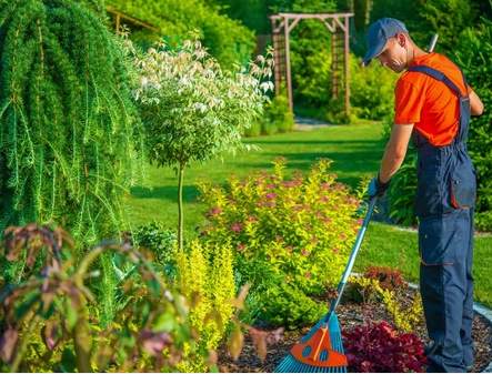 How Often Should You Trim Hedges and Mow Your Lawn in Sydney’s Climate? - Free Articles Mania