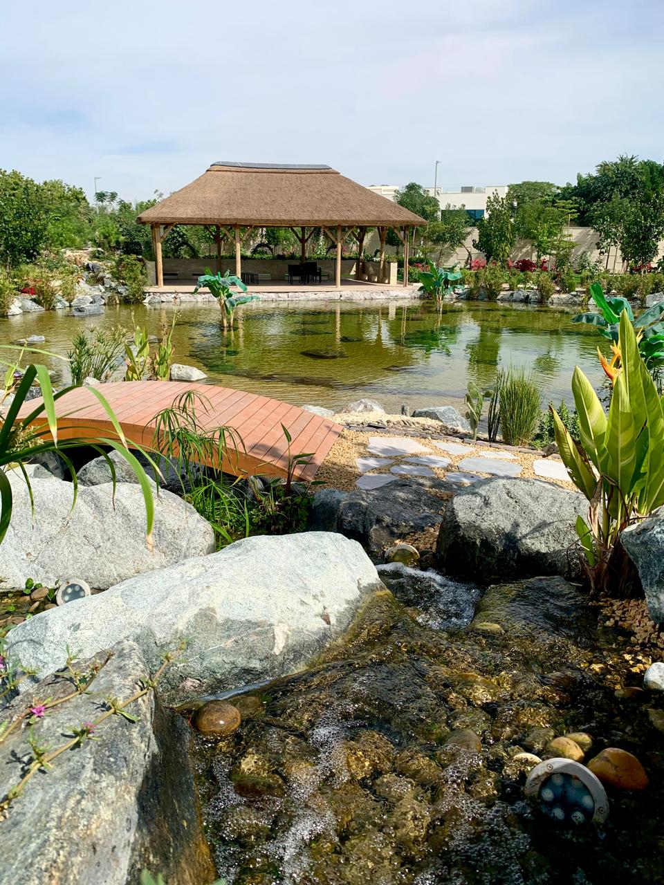 Transform Your Space with an Aqua Garden: Design Ideas and Expert Tips: ext_6656162 — LiveJournal