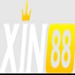 xin88 Profile Picture