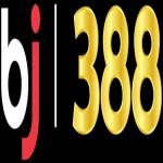 Bj388 us Profile Picture