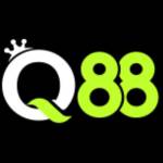 Q 88 Profile Picture