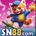 SN888 COM Profile Picture