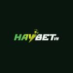 HAYBET Profile Picture