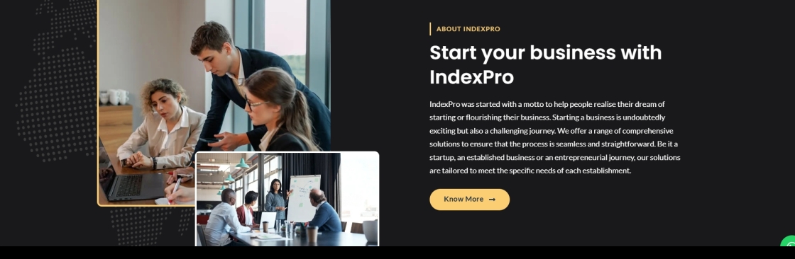 Index Pro Cover Image