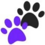 Love Your Pets Daily Profile Picture