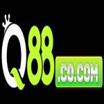 Q88 co com Profile Picture
