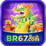 BR67 Profile Picture
