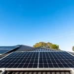 steven marks Profile Picture