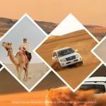 simix 35531 Profile Picture