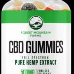 ForestMountain11 Profile Picture