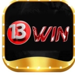 13Win2025online Profile Picture