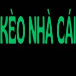 Keonhacai55 baby Profile Picture