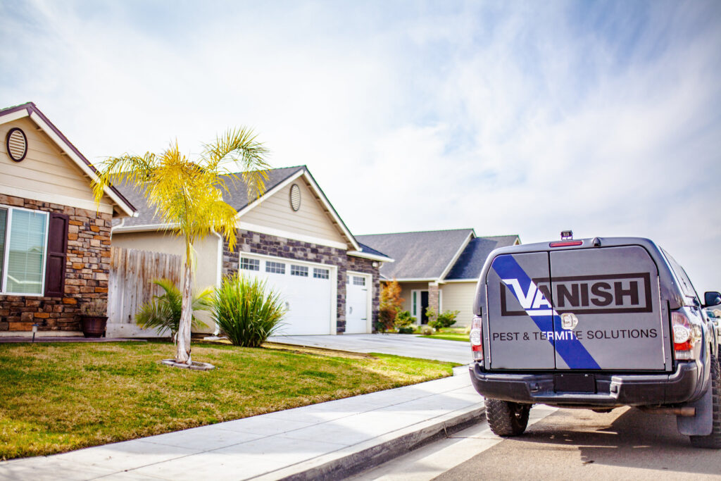 Scratches in My Kitchen Wall & Fly Removal Services in Toronto