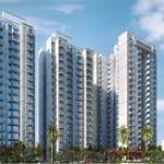 Mores RealEstate Profile Picture