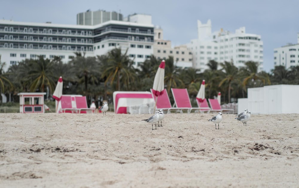 Discover Coastal Luxury at the Stunning Oceanaire Virginia Beach