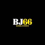 bj66co des Profile Picture