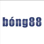 BONG88 coach Profile Picture