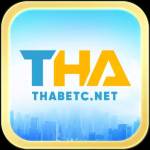Thabetc net Profile Picture