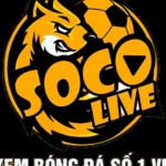 Socolive day Profile Picture
