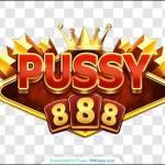 Pussy888 Pussy888 Profile Picture