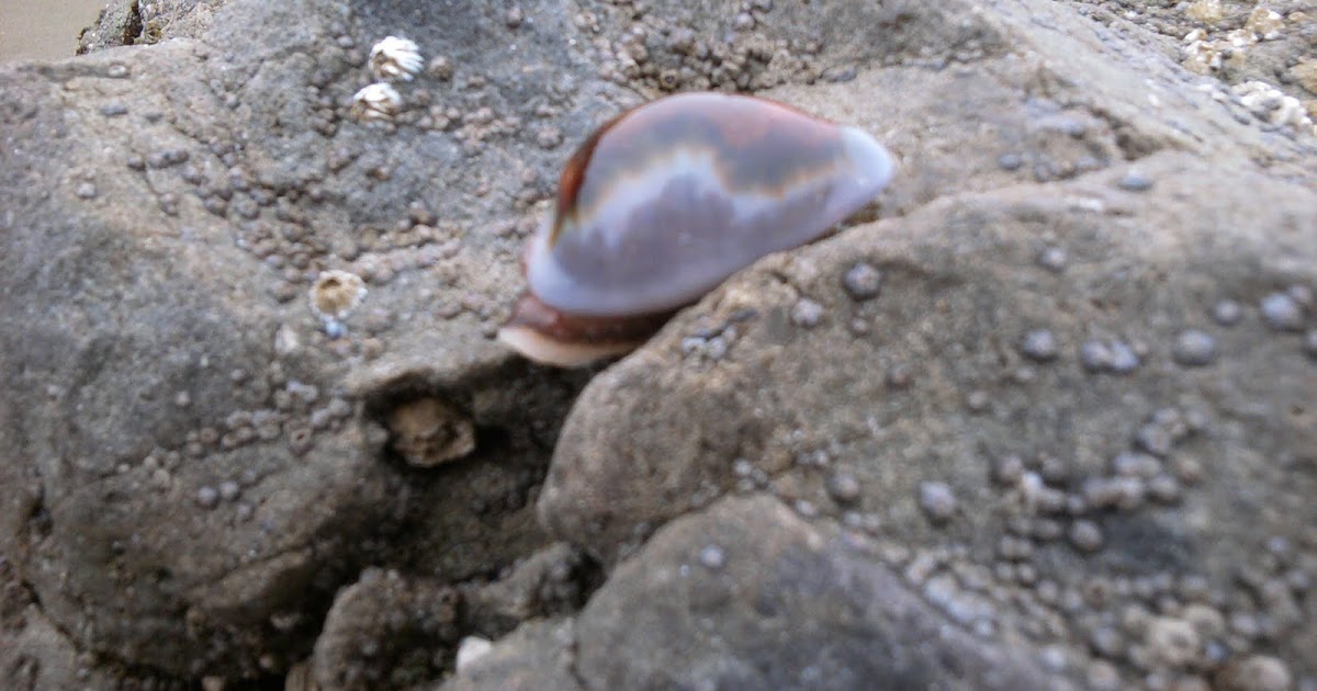 one crazy home: Leo Carrillo