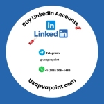 link dink Profile Picture