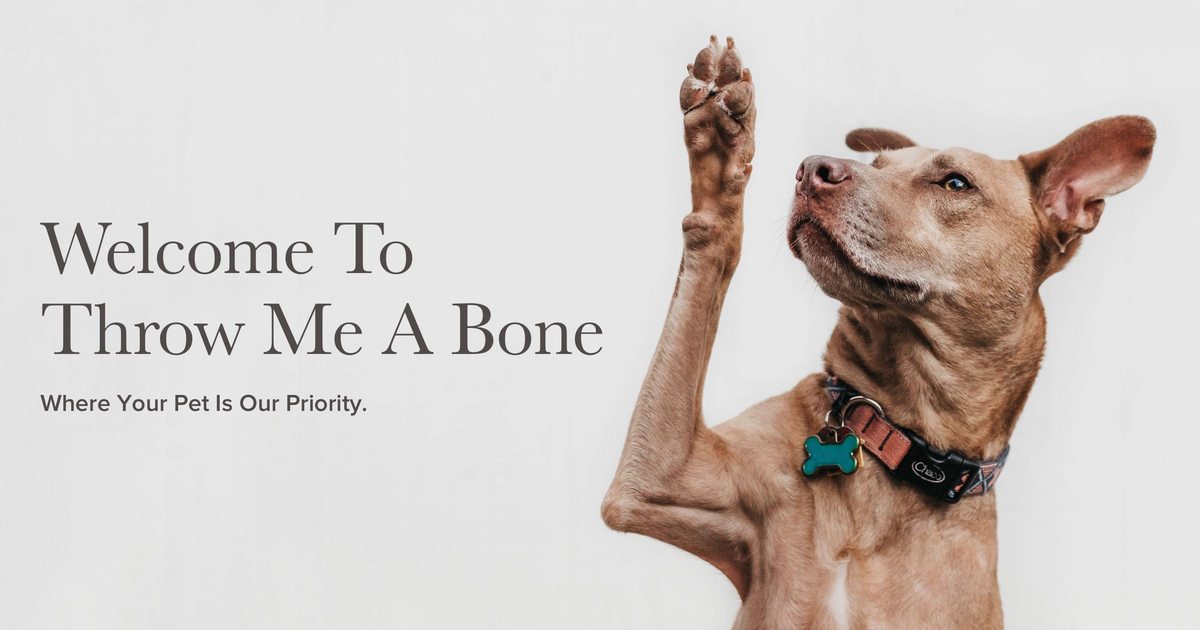Throw Me A Bone | Home | Dog Daycare, Grooming and Boarding