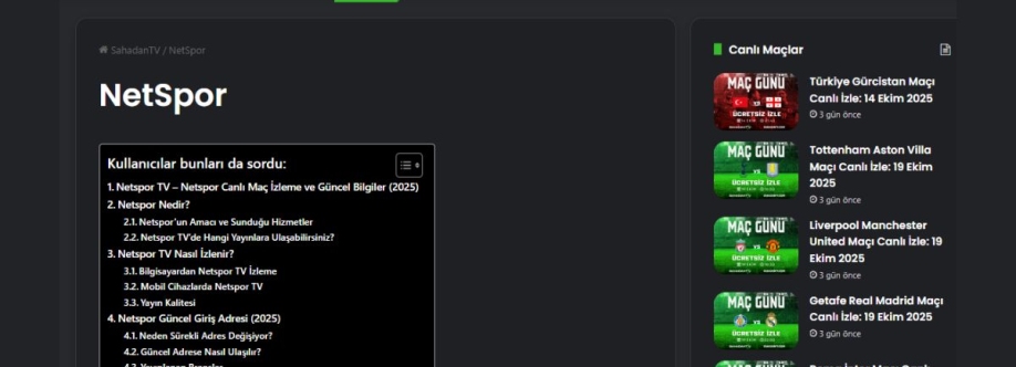 netspor a Cover Image