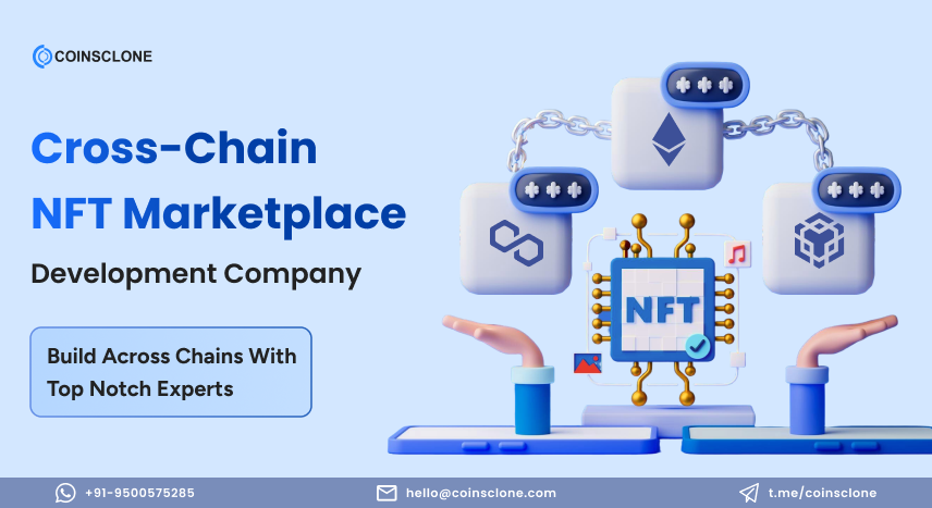 Cross-Chain NFT Marketplace Development Company | Coinsclone