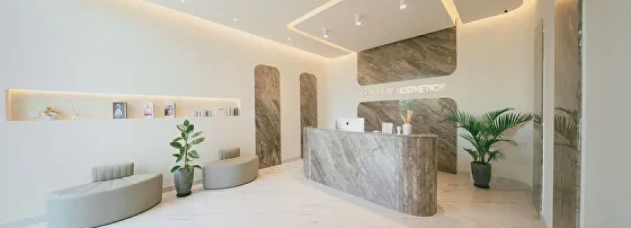 Opulent Aesthetics Cover Image