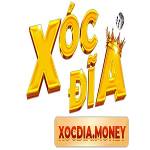 XOCDIA Profile Picture