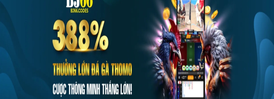 bj66co des Cover Image