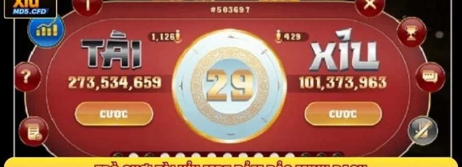 Taixiumd5 cfd Cover Image