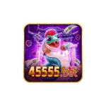 45555 bet Profile Picture