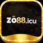 zo88 icu Profile Picture