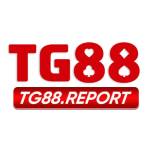 TG88 report Profile Picture