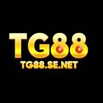 TG88 SENET Profile Picture
