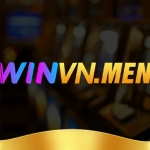 winvn men Profile Picture