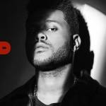 The Weeknd Merch Profile Picture