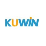 kuwin trade Profile Picture