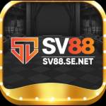 SV88 SE Profile Picture