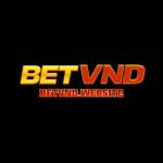 betvnd website Profile Picture