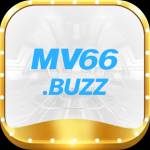 mv66buzz mv66buzz Profile Picture