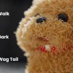 William247 Profile Picture