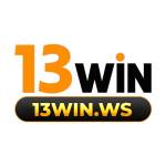 13winws Profile Picture