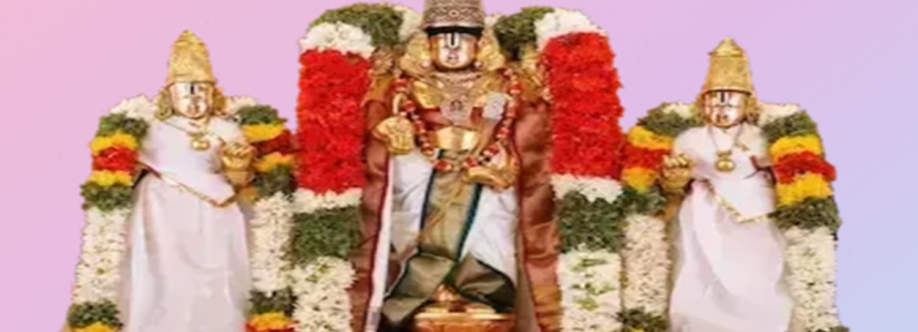 Padmavathi Travels Chennai Cover Image