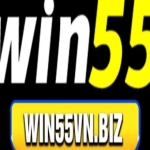 win55vn biz Profile Picture