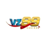 vz99blog Profile Picture